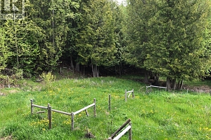 31 Violet Road - Photo 44