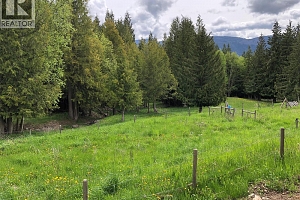 31 Violet Road - Photo 45