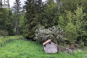 31 Violet Road - Photo 46