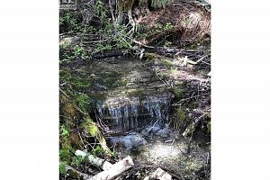 31 Violet Road - Photo 47