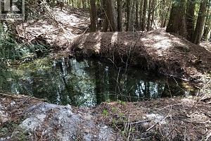 31 Violet Road - Photo 48