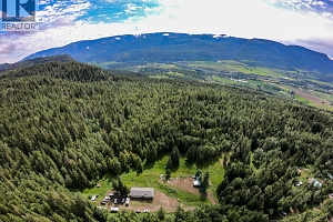 31 Violet Road - Photo 50