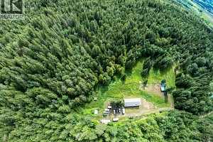 31 Violet Road - Photo 51