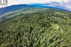 31 Violet Road - Photo 53