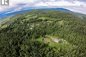 31 Violet Road - Photo 54