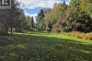 26 Barnes Road - Photo 22