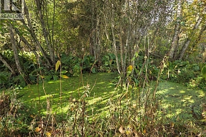 26 Barnes Road - Photo 23