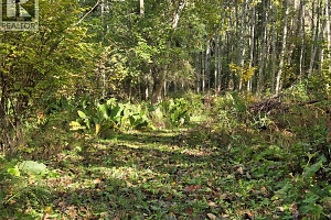 26 Barnes Road - Photo 24