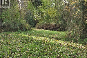 26 Barnes Road - Photo 25