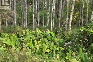 26 Barnes Road - Photo 26