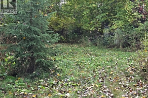 26 Barnes Road - Photo 27