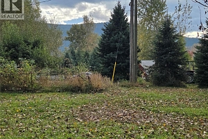 26 Barnes Road - Photo 28