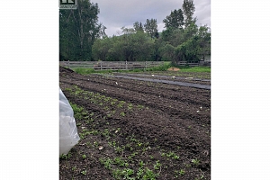 26 Barnes Road - Photo 6