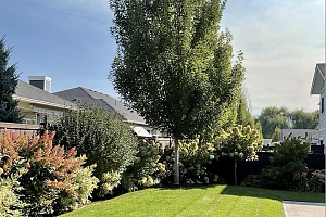 1940 KLO Road Unit# 7 - Photo 60