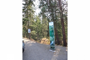 7005/7013 Manning Place - Photo 51