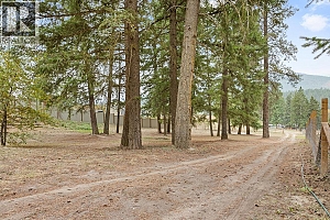 2429 Salmon River Road - Photo 58