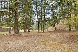 2429 Salmon River Road - Photo 59