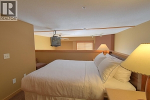 5335 Big White Road Unit# 206 - Photo 9