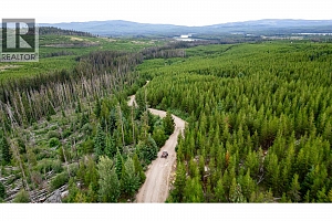 Cabin 10 Hatheume Lake Lodge - Photo 33