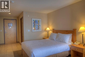 5340 Big White Road Unit# 328 - Photo 10