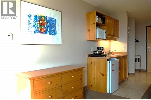 5340 Big White Road Unit# 328 - Photo 11