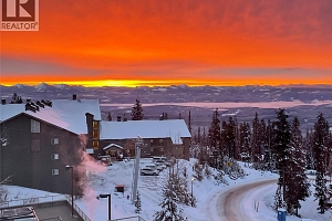 5340 Big White Road Unit# 328 - Photo 3