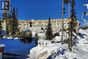 5340 Big White Road Unit# 328 - Photo 5