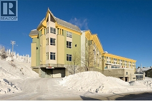 5340 Big White Road Unit# 335 - Photo 2