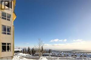 5340 Big White Road Unit# 335 - Photo 20