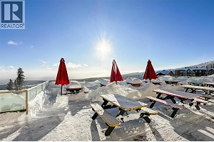 5340 Big White Road Unit# 335 - Photo 23