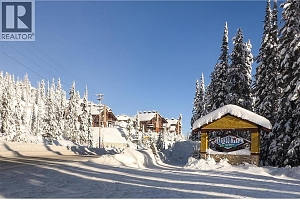 5340 Big White Road Unit# 335 - Photo 29