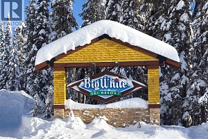 5340 Big White Road Unit# 335 - Photo 30