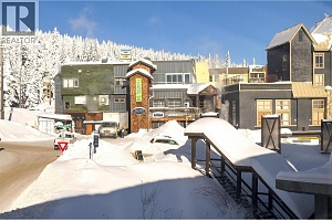 5340 Big White Road Unit# 335 - Photo 9