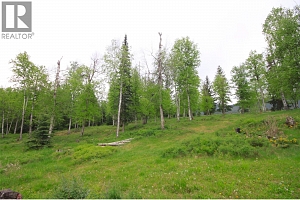 3194 Creighton Valley Road - Photo 28