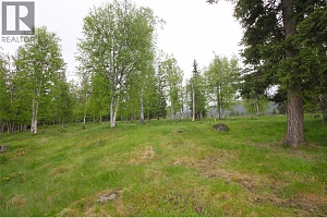 3194 Creighton Valley Road - Photo 30