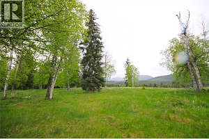 3194 Creighton Valley Road - Photo 31