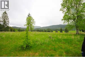 3194 Creighton Valley Road - Photo 33