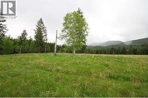 3194 Creighton Valley Road - Photo 34