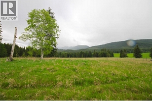 3194 Creighton Valley Road - Photo 35