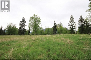 3194 Creighton Valley Road - Photo 42