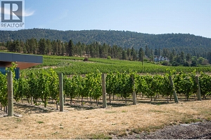 Off Commonage Road - Photo 16