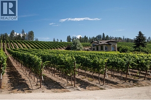 Off Commonage Road - Photo 18