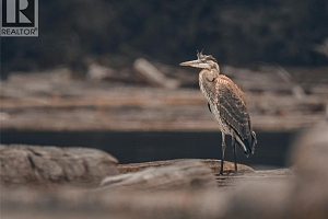 Off Commonage Road - Photo 25