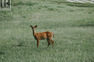 Off Commonage Road - Photo 28