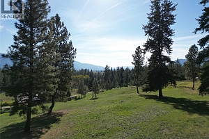 TBD Rashdale Road - Photo 13