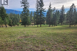 TBD Rashdale Road - Photo 4