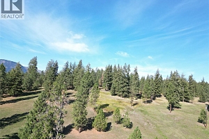 TBD Rashdale Road - Photo 6