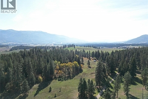 TBD Rashdale Road - Photo 8