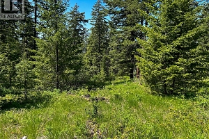 5893 Cosens Bay Road - Photo 29