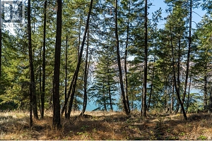 5893 Cosens Bay Road - Photo 34